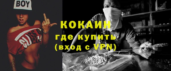 apvp Бородино