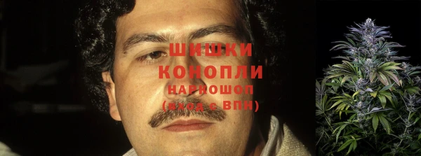 apvp Бородино