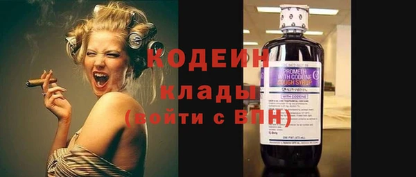 apvp Бородино