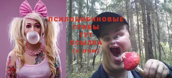 круглые Бронницы