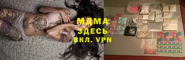 apvp Бородино