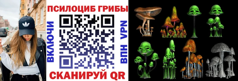Купить  Ачхой-Мартан  Галлюциногенные грибы мицелий 